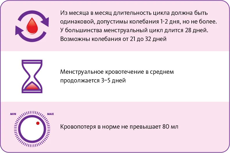 нормальный цикл